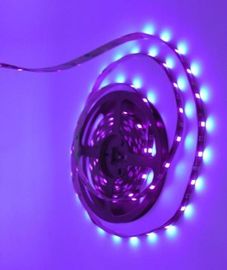 Adaptador de iluminación de esterilización flexible de la púrpura 24 W de los equipos SMD 5050 de la luz de tira del LED